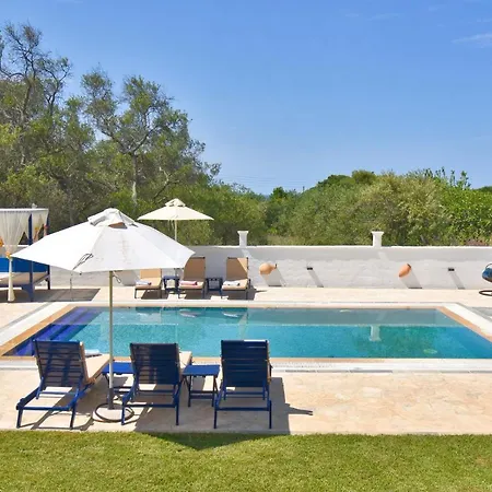 Angelloti Exclusive *