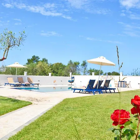 Angelloti Exclusive *